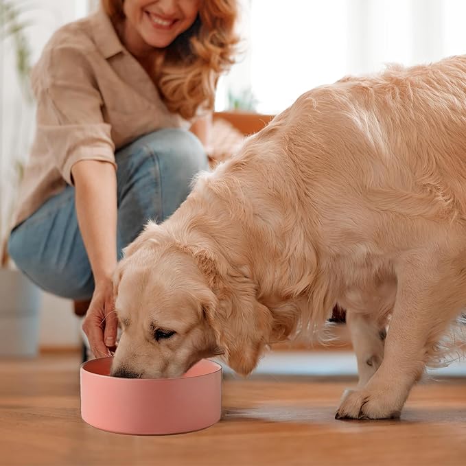 Ceramic Set of 2 Dog Bowls - Classic Dogs Food & Water Bowl for Small and Medium Breed, Heavy-Duty Non-Slip Dog Dishes, Food Grade Pet Bowl, Dishwasher & Microwave Safe (6'', 2 * 30OZ, Pink)