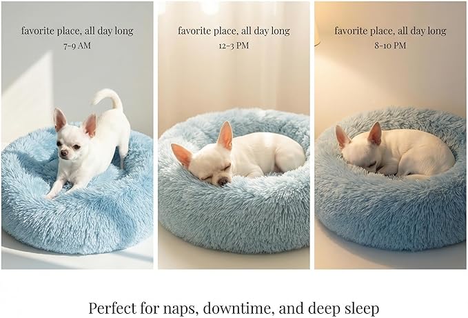 Calming Donut Dogs Beds for Small Dogs Washable,19inch Fluffy Round Puppy Bed for Puppies,Cats & Toy Breeds with Raised Rim,Fits up to 15 lbs Pets,Washed Blue