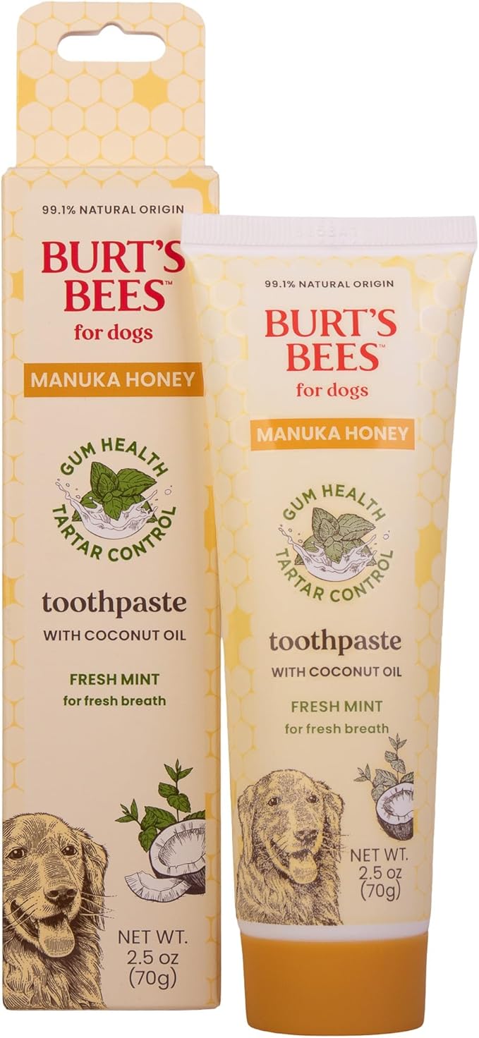 Burt's Bees for Pets Fresh Mint Dog Toothpaste with Manuka Honey and Coconut Oil for Gum Health & Tartar Control, 99.1% Natural Origin Formula, Fluoride-Free, Fresh Mint Flavor, 2.5 Oz