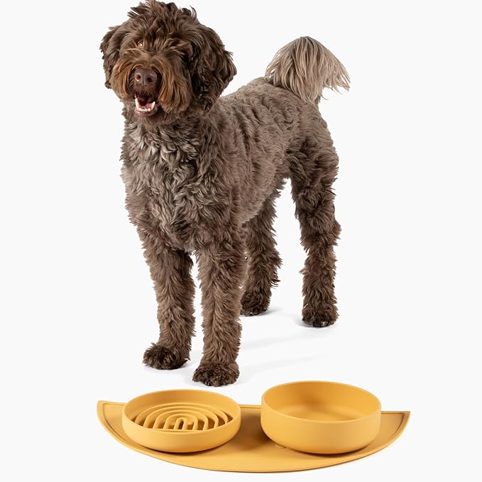 Should We Go? Slow Feeder for Dogs & Puppies, The Slowdown Bowl Silicone Slow Eating, Modern Lick Mat Design, Reduces Gulping, Fits 2 Cups, 7.5” Across x 1.5” Tall, Mealtime Challenge, Medium-Honey