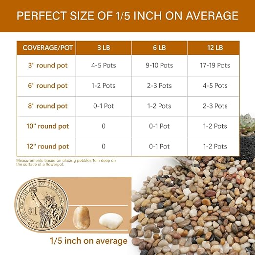 NUPICK 12lb River Rocks for Plants Indoor, 1/5" Pea Gravel for Fish Tank | Decorative Mixed Pebbles for Vase Fillers, Natural Polished Stones for Succulent, Bonsai, Landscaping, Bird Baths