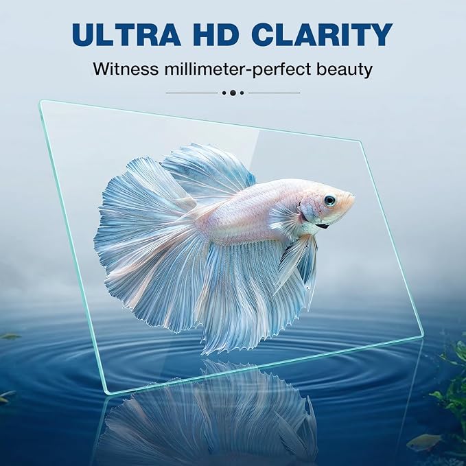 20 Gallon Rectangular Fish Tank, Rimless Ultra Clear Nano Aquarium | 6mm Thickness Ultra Clear Fish Tank for Betta/Turtle/Goldfish/Snails/Shrimp and Aquatic Planting