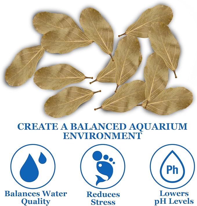 200Pcs Indian Almond Leaves Kabo Leaves Aquarium Decor Water Conditioner | Sealed Package,for Betta Fish Shrimp Goldfish Guppy,Betta Fish Tank Decor,Balance PH,Natural Tannins,Axolotl Tank Accessories