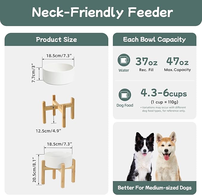 Havniva Ceramic Raised Dog Bowl Set, Elevated with Stand, Food and Water Bowl for Medium Breed Dogs, Weighted Dog Dishes, Pet Bowl(7.3'',41OZ, White)