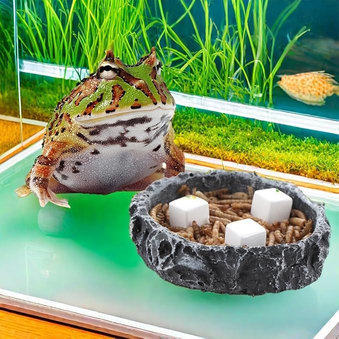 DQITJ 18 Pcs Small Reptile Calcium Stone Natural Calcium Mineral for Reptiles Turtle Tortoise Lizard Frog Chameleon (3 Pack)