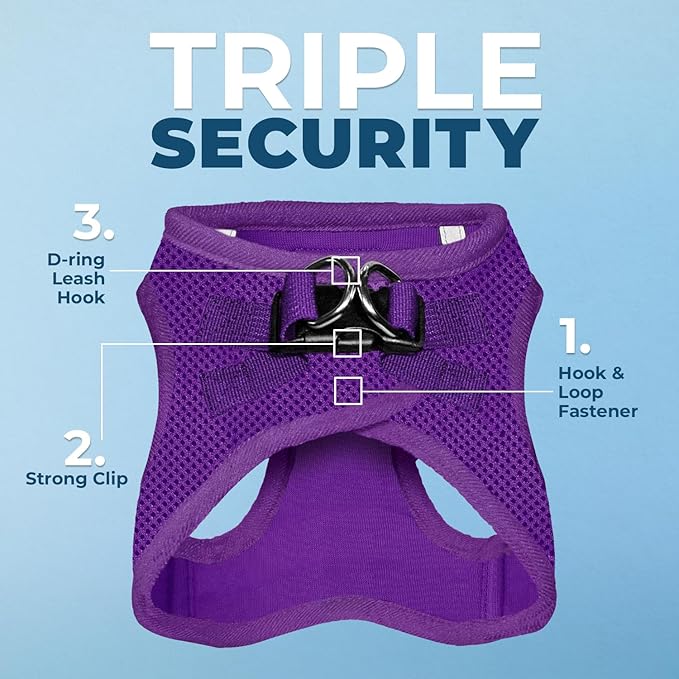 Best Pet Supplies Voyager Step-in Air All Weather Mesh Harness and Reflective Dog 5ft Leash Combo with Neoprene Handle, for Small, Medium and Large Breed Puppies - Set (Purple), XXX-Small