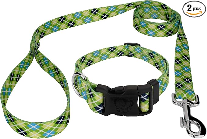 Country Brook Petz - Margarita Argyle Everyday Collar and Leash - Plaid and Argyle Collection Featuring Charming Designs (1/2 Inch, Extra Small)