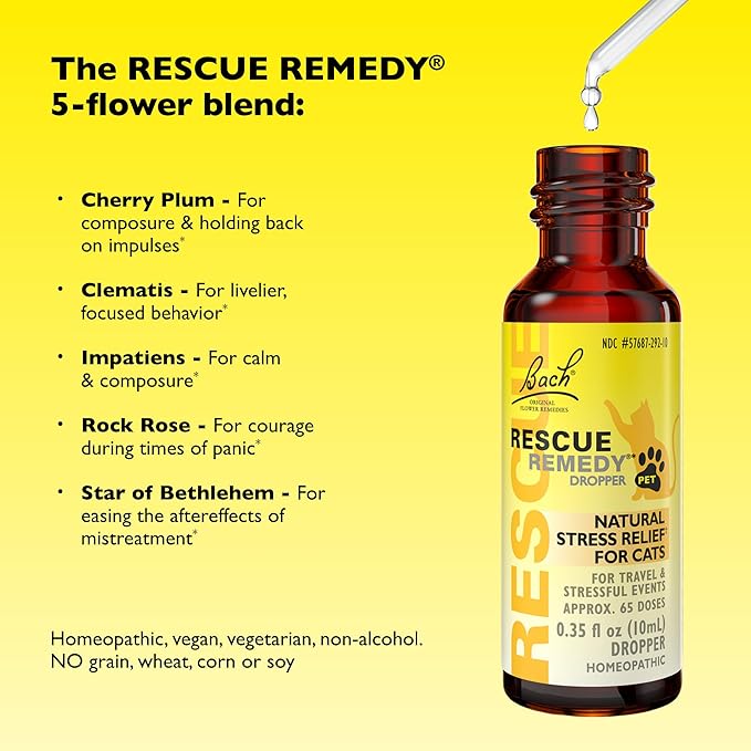 Bach Rescue Remedy Pet Dropper for Cats - 10 mL, Pack of 2 - Stress & Tension Support for Cats Natural Flower Essences - Sedative-Free, Homeopathic Liquid Formula - for All Breeds, Ages & Weights