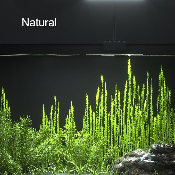 Carefree Fish Aquarium LED Light USB 7W Timer 4/8/12/18 Hours for 1~5Gal Frameless Fish Tank (Include Power Adapter)