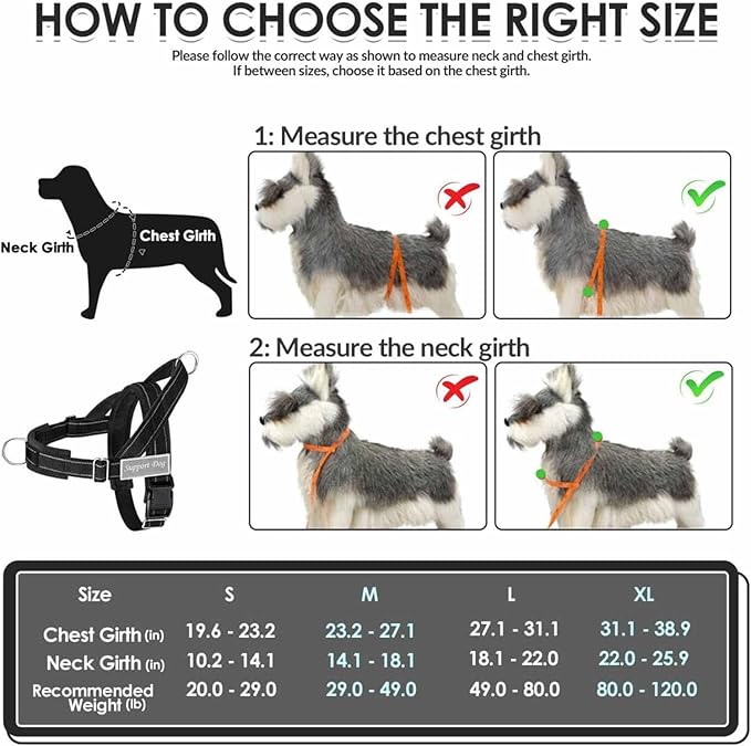 Lukovee No Pull Dog Harness & Leash Set - Heavy Duty Dog Vest Harness with Soft Padded for Medium Large Dogs, Adjustable Reflective Tactical Pet Harness for Easy Walk and Training (L, Black)
