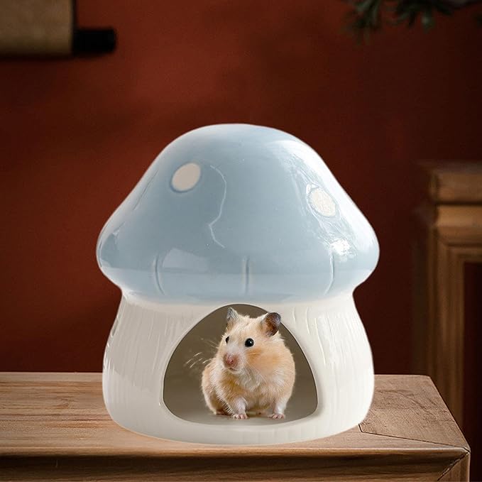 Ceramic Hamster House Guinea Pig Hideout Outdoor Creative Sturdy Habitat Hideaway House for Rats Chipmunk Squirrels, Blue