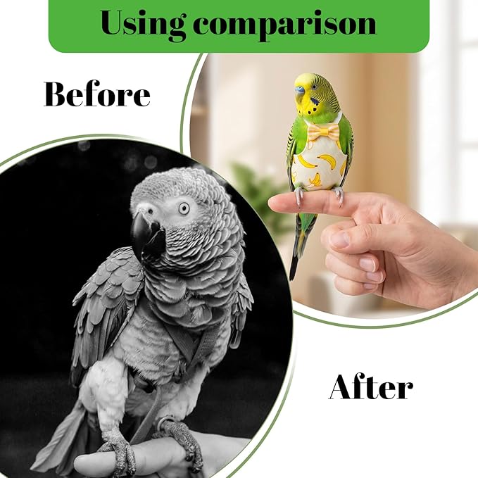 5 PCS Bird Diaper, Reusable Parrot Nappy Flight Suit Washable Pet Bird Diapers with Waterproof Inner Adjustable Straps for Parakeet Cockatiel Mini Macaw Budgie Lovebird Canary