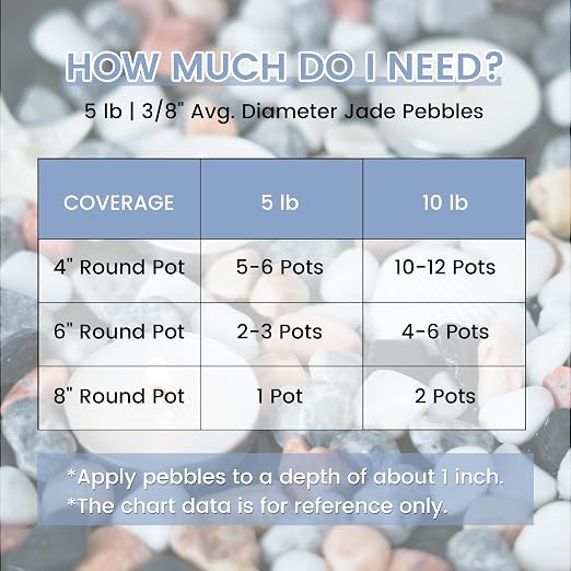 SIDONG 5 LB Natural Mixed Color Gravel Pebbles, 2/5 Inch Small Pea Gravel Stones, Decorative River Rocks for Succulents, Aquariums, Vases, Indoor Plants, Garden Landscaping, DIY