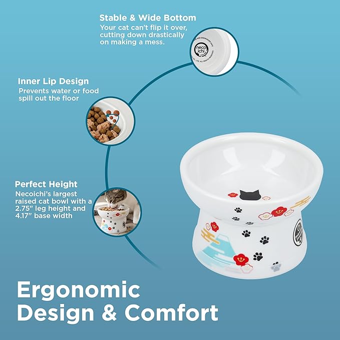 Necoichi Raised Cat Food Bowl – Ceramic Elevated Cat Bowl for Whisker & Neck Fatigue, Dishwasher Microwave Safe – Non-Slip & Anti Vomiting Ergonomic Design (Fuji, Regular, 1-Cup Capacity)