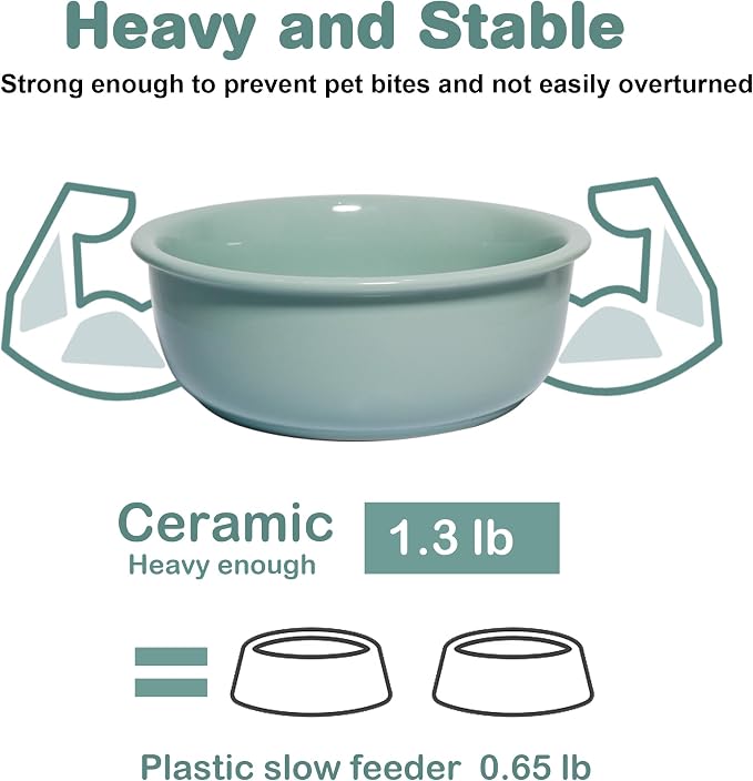 Wordcam 28oz Ceramic Dog Bowls, Durable Modern Pet Food and Water Bowls for Small Medium Dogs and Cats, Replacement Bowls for Wordcam SS02 Model (Light Green)