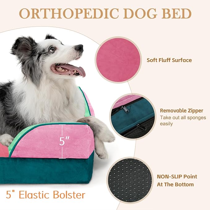 Comfort Expression Orthopedic Dog Bed for Extra Large Dogs 42x30 Inch, Waterproof Egg Crate Foam XL Pet Bed with Removable Bolsters, Dog Couch with Washable Cover & Non-Slip Bottom, Mint-Berry Dream