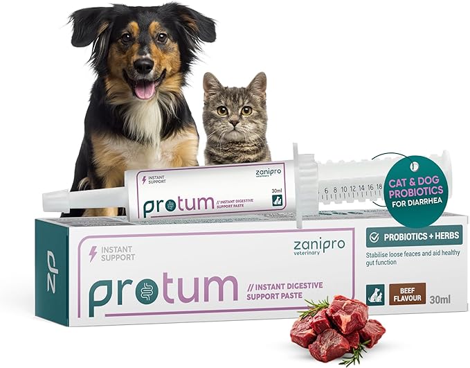 Dog Diarrhea Treatment, Fast Acting Upset Stomach Relief, Prebiotic & Probiotics for Dogs & Cats, Stop Loose Stools, Tasty Beef Flavour 30cc