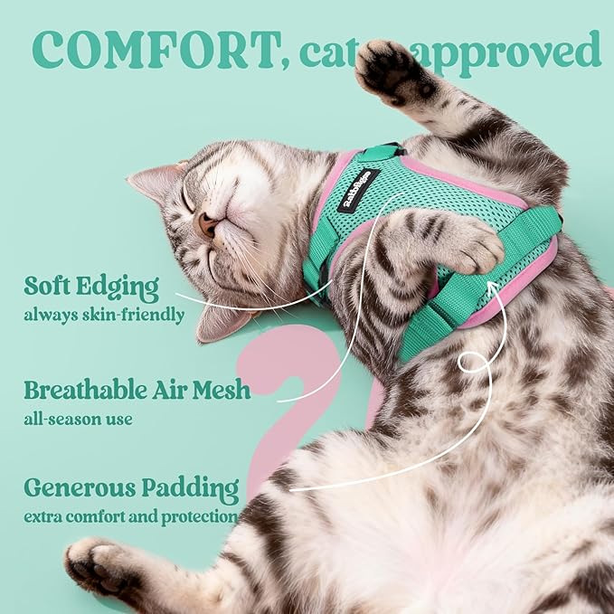 rabbitgoo Cat Harness and Leash for Walking, Escape Proof Soft Adjustable Vest Harnesses for Cats, Easy Control Breathable Reflective Strips Jacket, Green&Pink, S