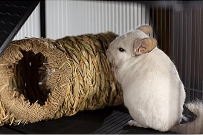Prevue Pet Products Hendryx Nature's Hideaway Grass Tunnel Toy - for Guinea Pigs, Dwarf Rabbits, Rats, Ferrets, Woven Hay & Grass, Natural Hide & Explore Toy