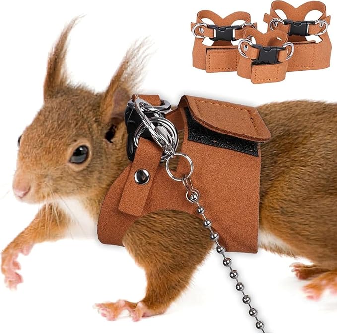 3 Pack Squirrel Harness and Leash Set - Adjustable Traction Rope Strap Anti-Biting Chain,Small Animal Training Walking Vest Leash for Squirrel Gerbil Chinchilla Rat (Black)
