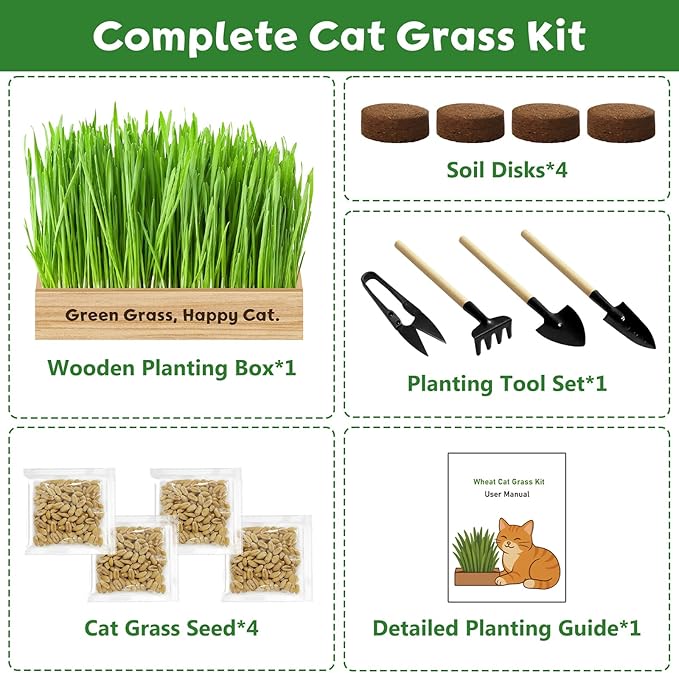 LUOJIBIE Cat Grass Kit for Indoor Cats, Cat Grass Seeds Set, Non-GMO Wheat Grass, Mother' s Day Gifts for Mom, Unique Christmas Birthday Gifts for Women Men Girl, House Warming Gifts for Cat Lover