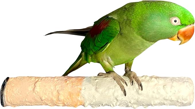 Polly's Edible Cuttlebone Calcium Bird Cage Perch for Budgies, Parakeets, Amazons, Blue & Golds, Macaws and Cockatoos.… (Variety, Large)