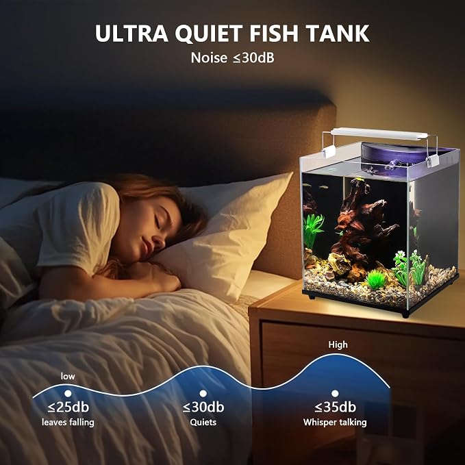 fishkeeper 5 Gallon Fish Tank Starter Kit, Small Aquarium with Filter | LED Light with 3 Colors, Self Cleaning Fish Bowl, Rimless Aquarium for Beginners only for Freshwater Tank, Room Desktop Decor
