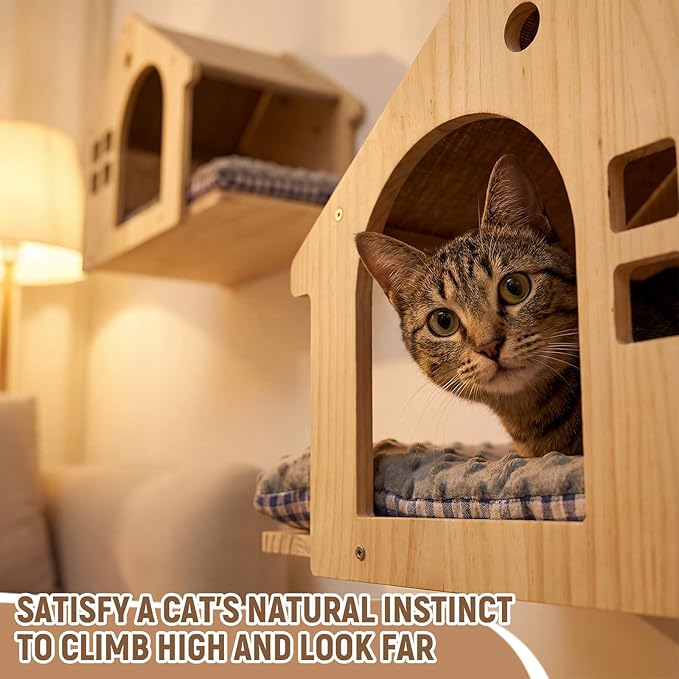2 Pack Solid Wood Cat Wall Shelves, Wall-Mounted Box Condo House Perches with Washable Cushions, Stable Design for Small to Medium Cats, Space Saving Furniture