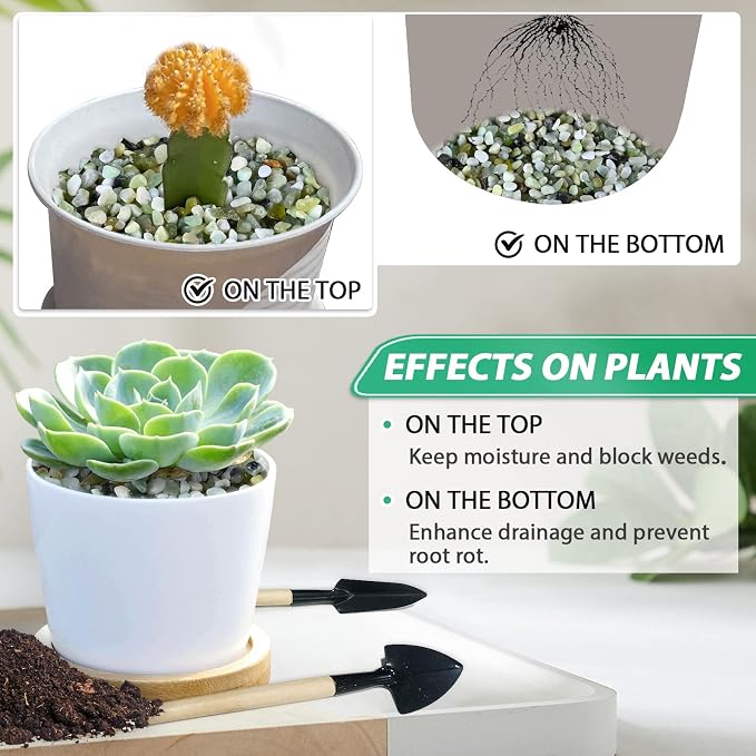 Succulent Rocks for Plants Tiny Pebbles for Planters 11.8LB Pea Gravel Bulk Course Sand Soil Small Decorative Stones for Indoor Bonsai Pots Cactus Top Dress Aquarium Garden Landscape, Green