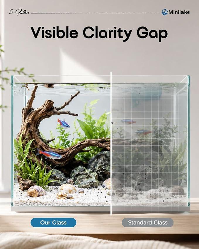 5 Gallon Vertical Rimless Fish Tank, Ultra-Clear Glass Aquarium | Leak-Proof Fish Bowl for Betta Fish, Shrimp, Snails & Planted Aquariums, Easy Setup and Maintenance, Clear
