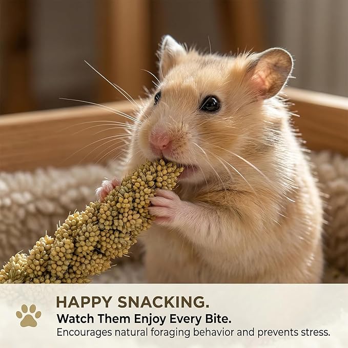Sukh Hamster Millet Sprays - 30Pcs Natural Millets 12.6In Hamster Bedding Decor Cages and Habitats Accessories Spray for Dwarf Syrian Hamsters Chinchilla Squirrel and Birds