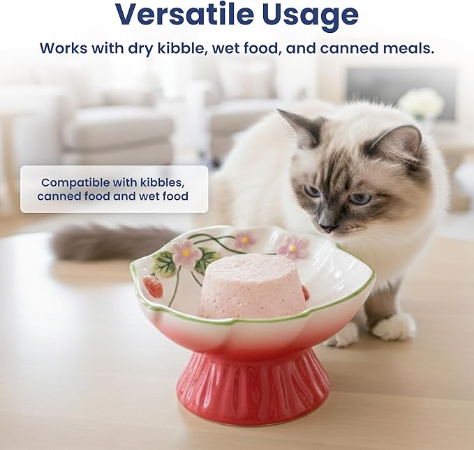 PawsPik Strawberry Blooms Elevated Ceramic Cat Bowl – Raised Cat Food Bowl with 15° Tilt, Whisker-Friendly Pet Feeding Bowl, Anti-Choking Dish, Dishwasher Safe (Red)