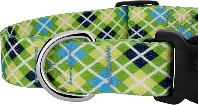 Country Brook Petz - Margarita Argyle Everyday Collar and Leash - Plaid and Argyle Collection Featuring Charming Designs (1/2 Inch, 2XS)
