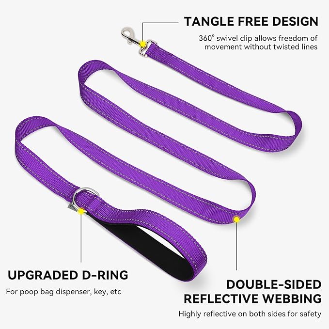 Joytale Dog Leash, 5 FT Double-Sided Reflective, Padded Handle Nylon Heavy Duty Leashes for Medium & Large Dogs Walking, Purple