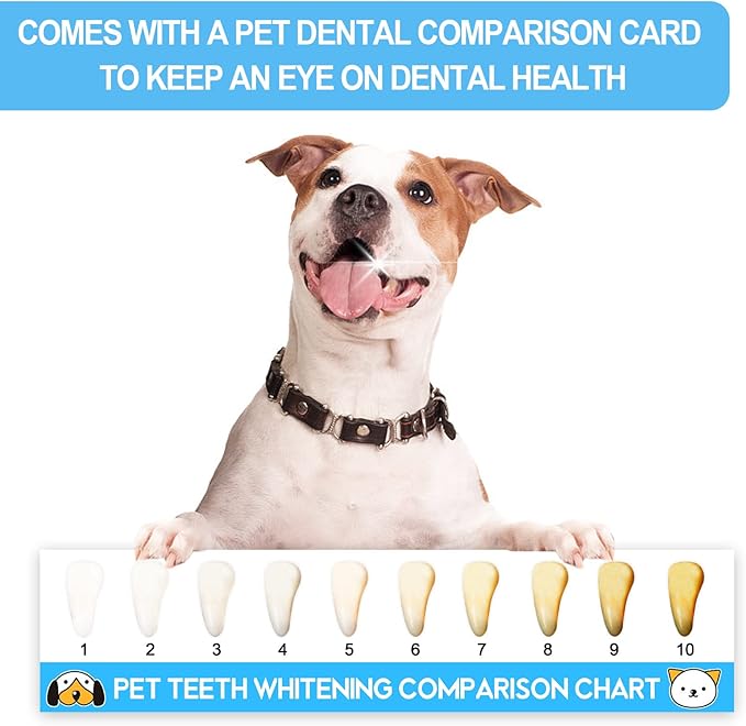 Small Dog Toothbrush Kit,Puppy Tooth Brushing Kit, Suitable for All Puppy and Samll Dogs Dental Care. White, Soft Bristles, Meet All Cleaning Needs, Multi-Functional Dental Cleaning.