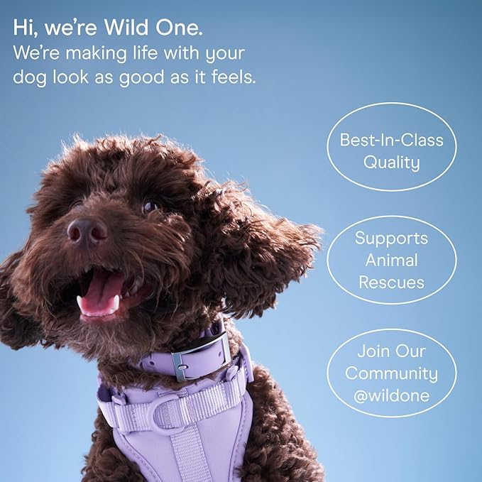 Wild One Treat Pouch, Fanny Pack or Cross-Body Bag, Made from Recycled Knit, Poop Bag Dispenser