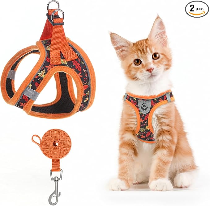 SCENEREAL Fall Thanksgiving Cat Harness and Leash Set Escape Proof, Soft Mesh Kitten Harness for Walking Travel, Reflective Adjustable Pet Vest with Leaf Print for Cat Puppy, S