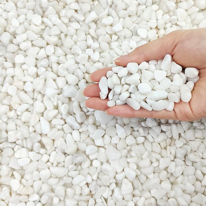FANTIAN White Pebbles for Indoor Plants, 3/8 Inch Decorative White Stones. Polished River Rocks for Potted Plants Vase Cactus Bird Bath and Outdoor Garden Landscaping