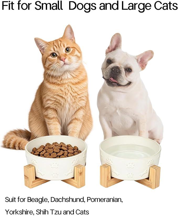 Small Dog Bowls with Stand, 5.5 inch Ceramic Dog Food Water Bowl Set for Small Dogs Puppy Cats Pet Feeding Dish, White with Cute Pattern