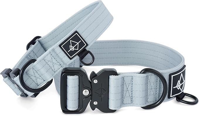 Made to ROAM Premium Dog Collar - Adjustable Heavy Duty Nylon Collar with Quick-Release Metal Buckle (Alaska Daybreak, Classic Size 4)