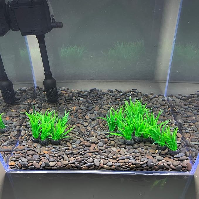 Aquarium Plant Fish Tank Decoration 20 Pieces Small/1" Tall Plastic Artificial Plant Goldfish Hidden Mini Grass Set (Green-B)