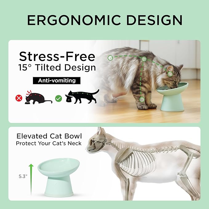 Necoichi 2pcs Tilted Elevated Cat Food Bowls BPA-Free Plastic 15° Tilted Raised Cat Bowl for Whisker & Neck Fatigue, Dishwasher Safe Non-Slip & Anti-Vomiting Ergonomic Design (Smoky Mint)