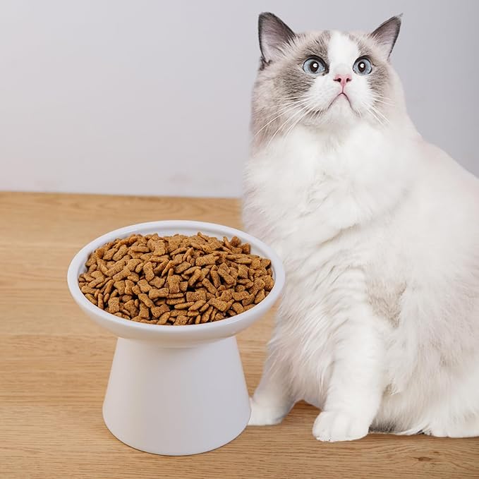 6.2 Inch Extra Wide Elevated Ceramic Cat Bowls, Food and Water Bowl Set for Elder Big Cats Small Dogs, Raised Design for Pet Easy Eating, Protect Cat's Spine Set of 1（White-1pc）