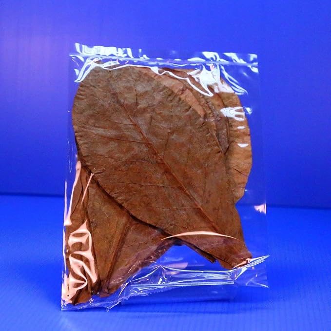 CORISRX BEST OF YOUR LIFESTYLE Tantora Catappa Leaves 4~7" 10 Pcs. Aquarium Indian Almond Leaf for Betta and Shrimp Fish Tank,. Excellent Water Conditioner Leaves for Breeding & Health