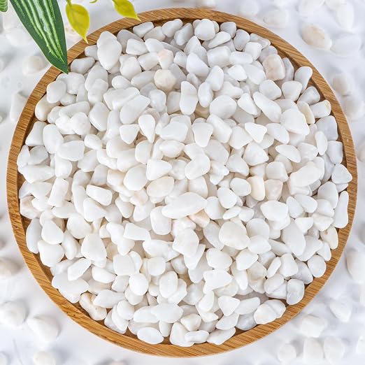 Sukh White Pebbles for Cactus - 420G Polished River Stones | 1/5 Inch Cactus Gravel Pebbles, Natural Decorative Small River Rocks for Gardening, Vases, Landscaping and Fish Tanks