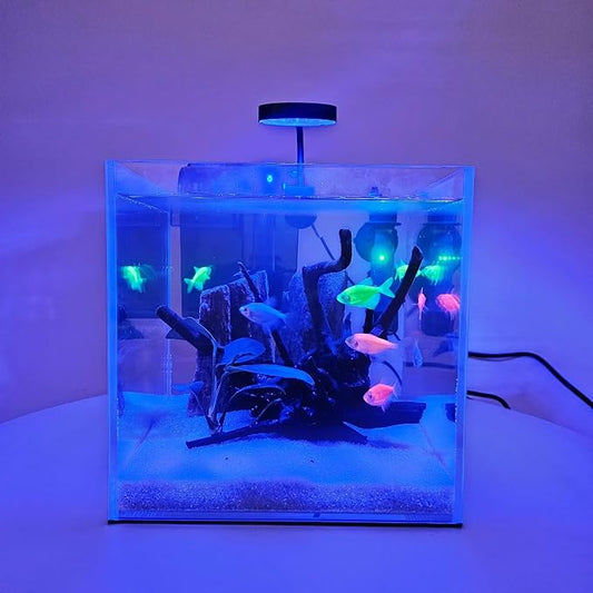 Lifegard Blue Spectrum Clip-On LED Aquarium Light with USB & in-Line Controller – 28 Ultra-Bright LEDs – Dimmable & Touch Control – for Glow Fish, Nano Tanks, Freshwater & Marine