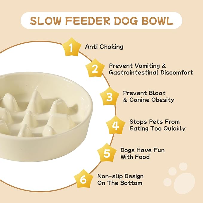 Havniva Ceramic 0.9 Cup Raised Slow Feeder Dog Bowl Set, Elevated 6.1inch Slow Dish and 6.1inch Water Bowl with Wooden Stand for Small Dogs (2 x Light Yellow+ Stand)