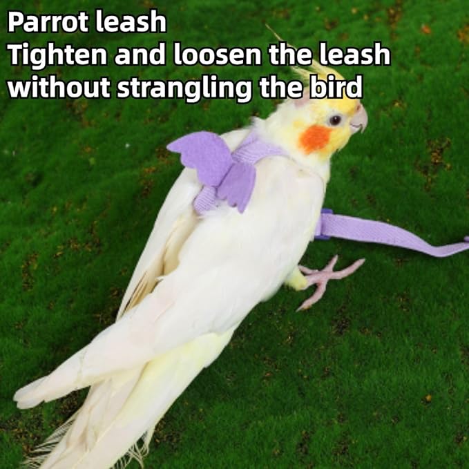 Pet Parrot Bird Harness and Leash, Adjustable Training Design Anti-Bite, Bird Nylon Rope with Cute Wing and Colorful Leash for Parrots Lovebird Cockatiel Conure Budgie (Pink with 236.2inch Leash,L)