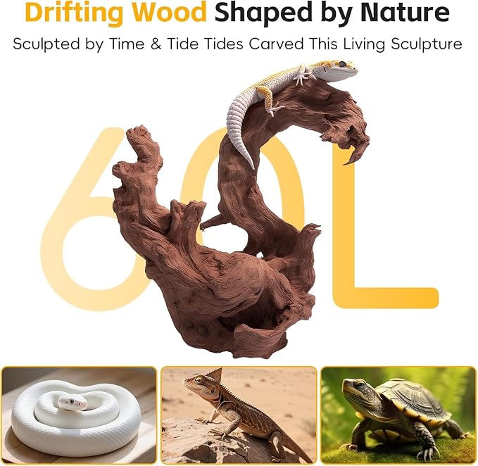 EFFIELER Natural Driftwood for Aquarium Decor – Unique Size Real Wood Branches for Fish Tank, Reptile Habitat, Terrarium, Hermit Crab, Shrimp Tank (11-14 INCH 2-Pack, Mopani Driftwood) | Aquarium & Terrarium Compatible Unique Organic Shapes
