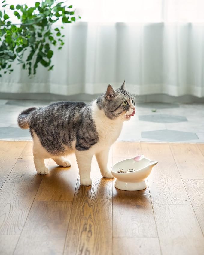 2Pcs Raised Cat Food Bowl Ceramic 15° Tilted Cat Food Bowls Protect Cat's Spine Anti Vomiting Backflow Prevention Bowls for Adult, Kitten, and Small Dogs, Pink